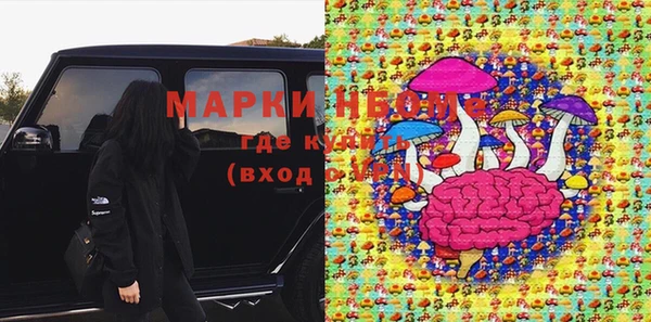 хмурый Горняк