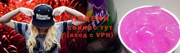 дмт Горно-Алтайск