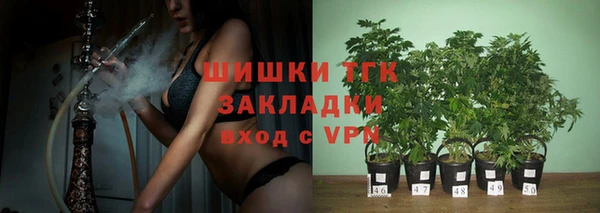 хмурый Горняк