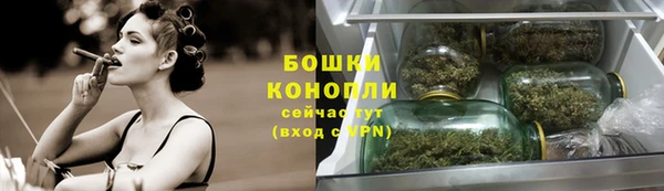 apvp Гусиноозёрск