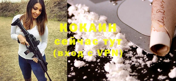 хмурый Горняк