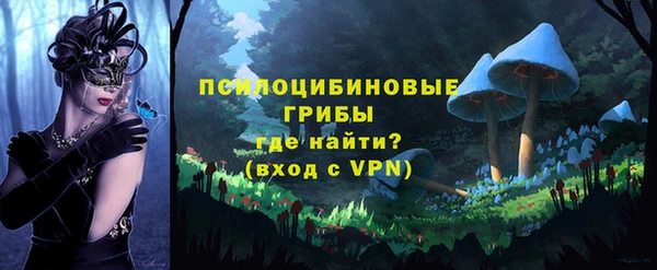 марки nbome Гусь-Хрустальный