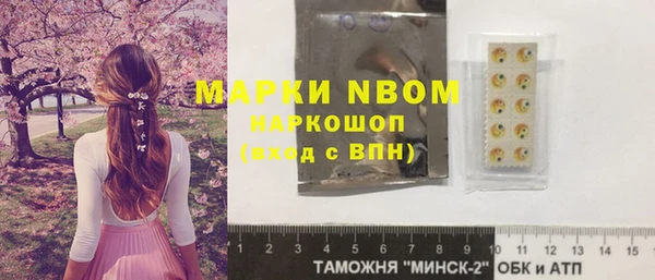 хмурый Горняк