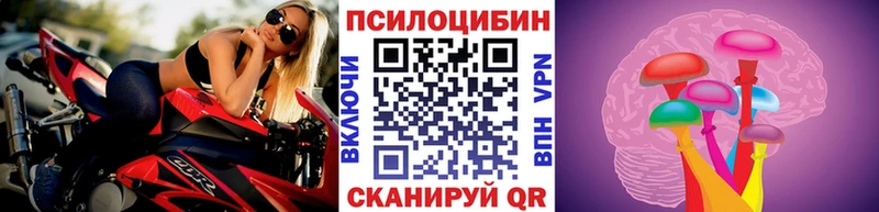 Псилоцибиновые грибы MAGIC MUSHROOMS  где купить наркотик  Прокопьевск 